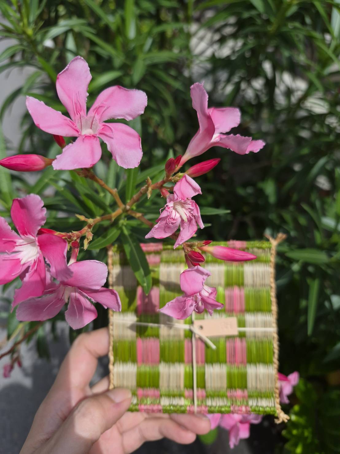 Handwoven papyrus table set for 2 seats in Green, Pink and Natural color